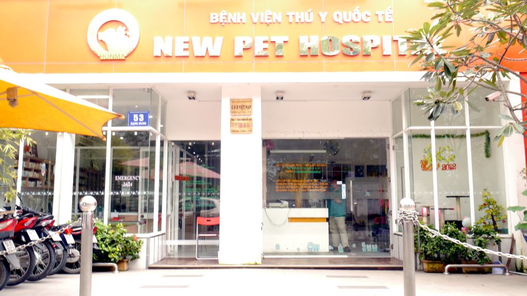bệnh viện thú y new pet hospital