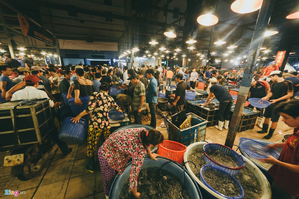 chợ đầu mối hải sản bình điền