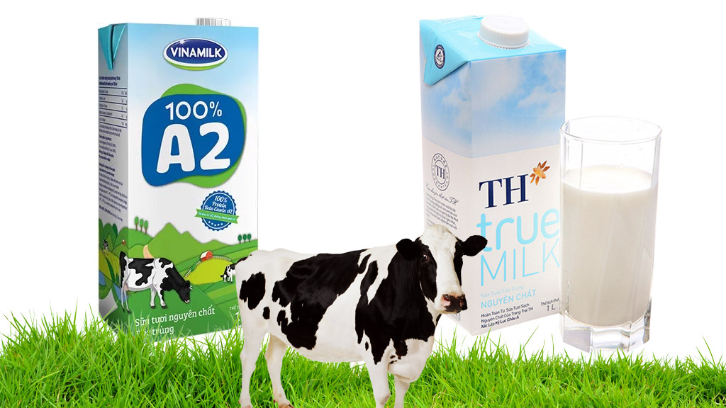 Danh sách cửa hàng sữa TH True Milk & Vinamilk Đà Nẵng - Kênh Z