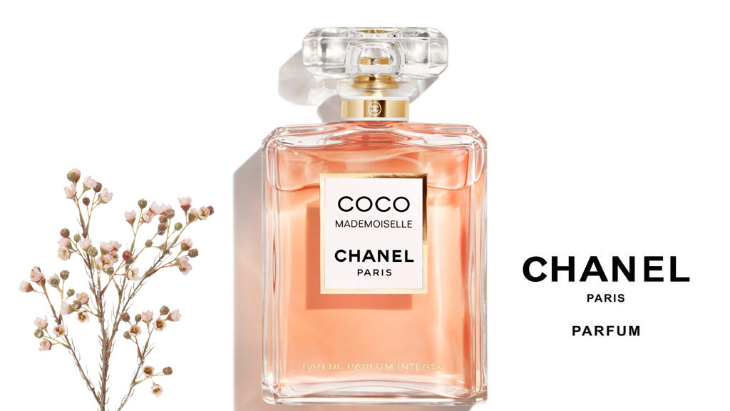 Những điều mà bạn cần nên biết về thương hiệu Chanel cao cấp  Vua Nệm