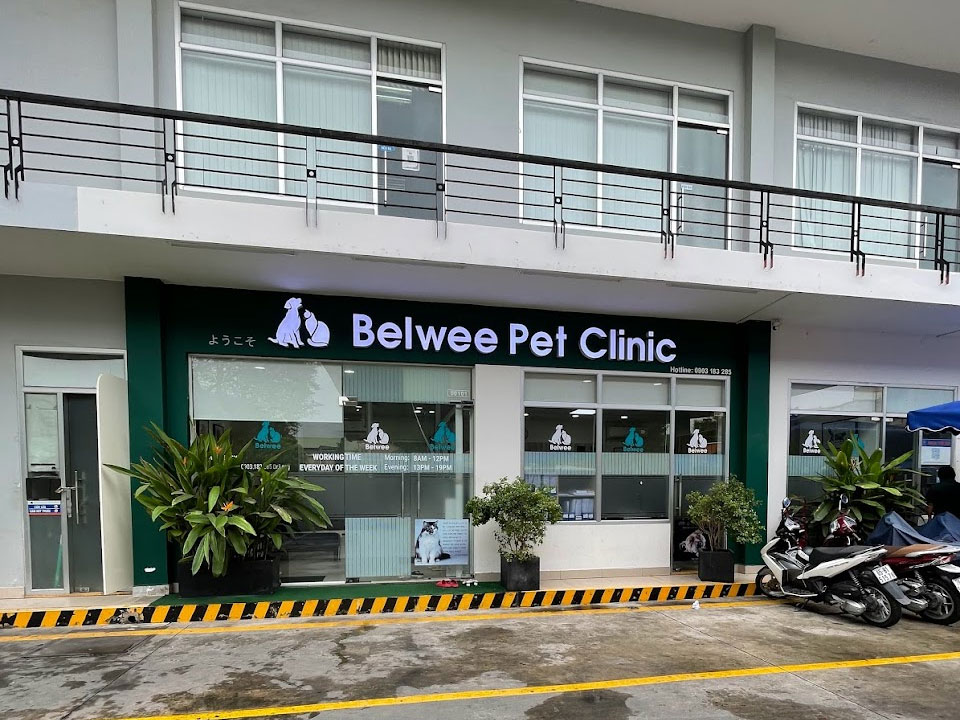 Belwee Pet Clinic